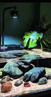 Kassray 智能魚缸燈 變色 RGB 藍牙控制