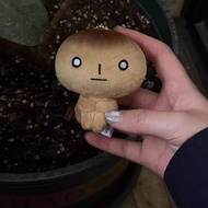 Vintage style toast doll keychain - Cute silly teddy bear, interesting gift