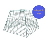 Collapsible bird Chicken scratch pen kasabong  gamefowl 8lines 16lines 17lines