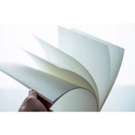 VIET LEAD PAPER SIZE A0,A1,A2,A3