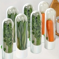 Vanilla Fresh-Keeping Box Coriander Asparagus Vegetable Fruit Cup Shallot Carrot Flower Transparent 