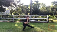 Authentic Fighting Tai Chi-Chen New Frame Routine (XinJia) 1 陈氏太极拳新架一路 -A Detailed Chen Style Tai Chi, a Gem revealed! Go Decoding the Essence of Tai Chi with David in this Amazing Journey!