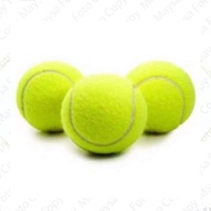 Bola Tennis dan Kasti Hijau - Tennis Balls - Bola Tenis Training Olahraga Lapangan isi 3pcs
