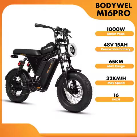 16x4.0 Electric Bike for Adults 1000W Motor Peak, 48V 15.6Ah Removable Battery, 29MPH Fat Tire Off R
