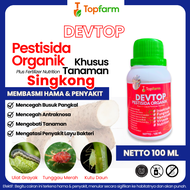 Obat Hama Singkong / Obat Jamur Pada Tanaman Singkong / Obat Hama Daun Singkong / Obat Tanaman Singk