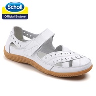 Scholl รองเท้าผู้หญิง รองเท้าแตะ Scholl รองเท้าผู้หญิง รองเท้าแตะ Scholl รองเท้าผู้หญิง รองเท้าส้นแบ