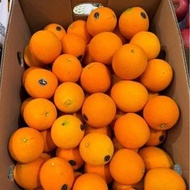 美國黑牌超甜橙 (72/88庒) - 1個