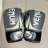 Muay Thai Gloves 泰拳拳套 8oz