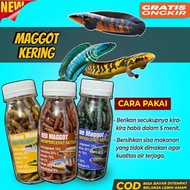 Kemasan botol Maggot BLUE/YELLOW/RED maggot kering magot murah Maggot Kering Blue Color Booster Terb