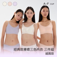 Three-Piece Set [Classic Style] 24HRS Amnesia Underwear [Healing Three-Color Package Color Set] Spor