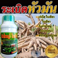 (เห็นผล100%) ปุ๋ยระเบิดหัวมัน ปุ๋ยเร่งหัวมัน เร่งหัวมัน เพิ่มน้ำหนัก รับประกันคุณภาพ ปุ๋ยทางใบมัน หัวมัน ยาระเบิดหัวมัน ชุดระเบิด