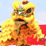 Lion Dance Lion Dance Lion Dance Full Set Complete Set Supplies Foshan Adult Lion Dance Double Lion 
