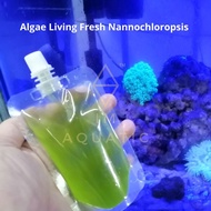 Aquarium | Air Hijau | Algae Living Fresh Nannochloropsis & Phytoplankton 100ml