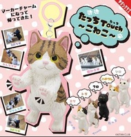 ❰扭蛋玩具街❱ ❰11月預購❱ ❰單售/一套5款❱ ❰日本扭蛋❱ Kitan 站立排隊貓咪