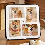 Pet Commemorative Photo Frame Setting Table High-End Feel 9-Grid Photo Frame Plus Printing Photo Was