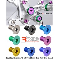 WR3 Countersink Titanium Bolt (WR3 RS Series Footstep Bolt) M6 M8 M12