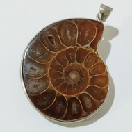 Ammonite pendant Shell Million-Year-Old Clam Can Be Carried With You. Increase The Power Of