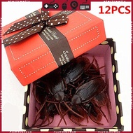 STA 12pcs Funny Realistic Cockroach Spoof Bug Trick Toy Magical Prank Toy for Adult Anxiety Relief A