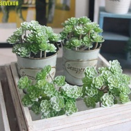 SEVENON Artificial Succulent Plant, Realistic Real Touch Mini Artificial Cactus Plant, Simulation Ca