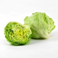 || VEGETABLES || Iceberg lettuce / 1 piece