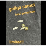 batu geliga semut asli