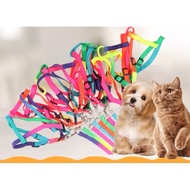 1m2 Leash + Chest Bib for Dogs and Cats, 1m2 Pet Leash of your choice