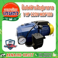 ปั๊มเจ็ทท่อคู่ระบบออโต้ 1 แรงม้า 750W ดูดลึก 30 เมตร  ปั๊มน้ำ MITSUMAX รุ่น MDP100