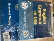 English grammar in use