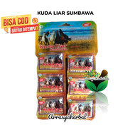 Kapsul Kuda Liar Sumbawa Hanger 20 Sachet / Jamu Pegal Linu & Asam Urat