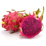 1PCS-BUAH NAGA MERAH | RED DRAGON FRUIT