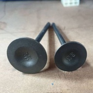 DEMAK DTM 150/200 - EXHAUST & INTAKE VALVE