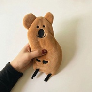 Koala Bear Pencil Case