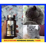 SUPERFOOD VITAMIN TAMBAH SELERA MAKAN KUCING