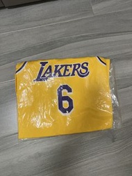 Nike LeBron James Lakers 6號球衣