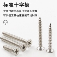 10.12 High-Strength Stainless Steel Screw Plate Screw Phillips Countersunk Tapping Screw