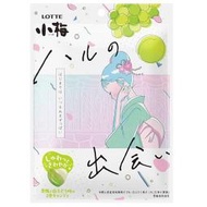+東瀛go+LOTTE 樂天 小梅 青梅&白葡萄風味糖60g 和歌山南高梅 梅子糖 果汁糖 造型糖 日本原裝進口