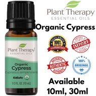 Plant Therapy ~ Organic Cypress Essential Oil