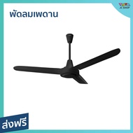 🔥ขายดี🔥 พัดลมเพดาน Hatari ขนาด 48 นิ้ว กระจายความเย็นได้ทั่วถึง C48M1 - พัดลมติดเพดาน พัดลมเพดานถูกๆ
