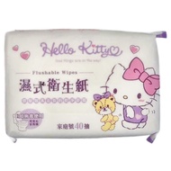 Hello Kitty 凱蒂貓 濕式衛生紙  40抽  6包