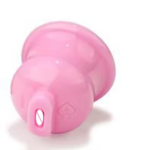 Men'S Small Lid Chastity Lock Fake Women Cb Chastity Device Embedded Cock Cage Invisible Lock Seat L