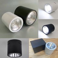 Tin Surface Mount E27 Downlight