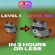 Joki Pet Age / Level (Grow A Garden)