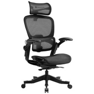 Hinomi H1 Classic V3 Ergonomic Office Chair Mesh with 3D Lumbar Support and Flip-up Armrest