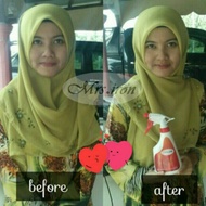 SPRAY TUDUNG MRS IRON