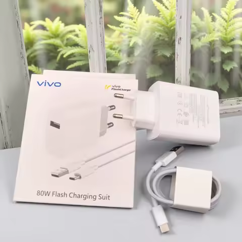 Original Vivo 80W Flash Charger EU Fast Charging Adapter & Type-C Cable For X300 X90 X80 S19 Pro iQO