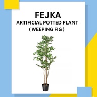 FEJKA Artificial Potted Plant ( Weeping Fig ) -21 cm