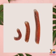 Bully Stick Dehydrated Dog Chew Treat Raw Pet Gourmet Dog Snacks