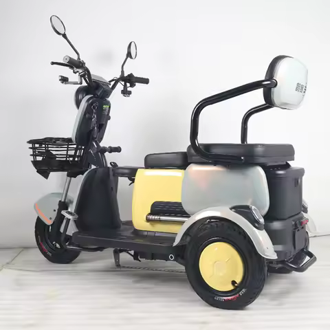 20ah 60v 1000w 3 Wheel Tricycle For Adults Bike China Factory Lead-acid Battery EEC/COC 3 Wheel Elec