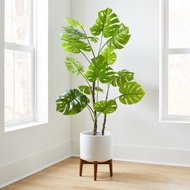 ⭐️  Pokok Viral Monstera Premium / Premium Monstera Viral Plant / Premium Monstera Artificial Plant 