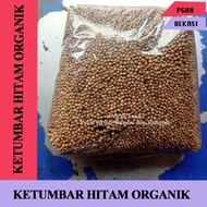 Organic Black Coriander 1 Kg Original Fragrant Black Coriander Cooking Coriander/ Herbal Coriander/ 